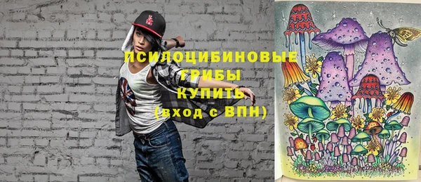 хмурый Приозерск